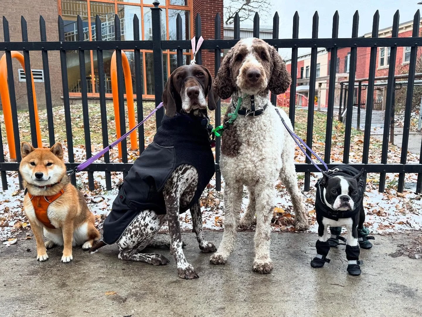 Friday afternoon squad! 2 Bigs X 2 Littles #allisonswalks