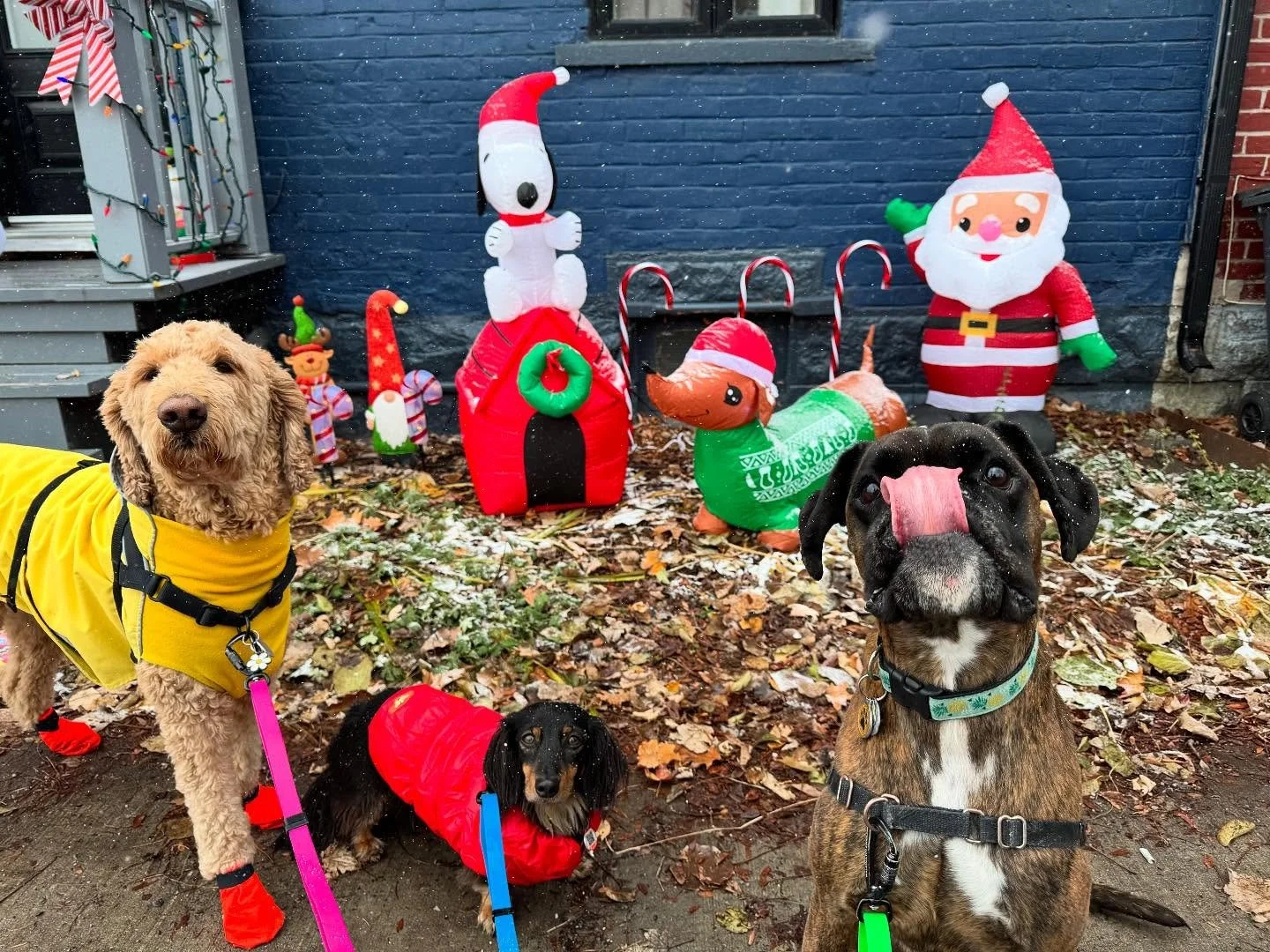 Getting festive up in here!! 🎄