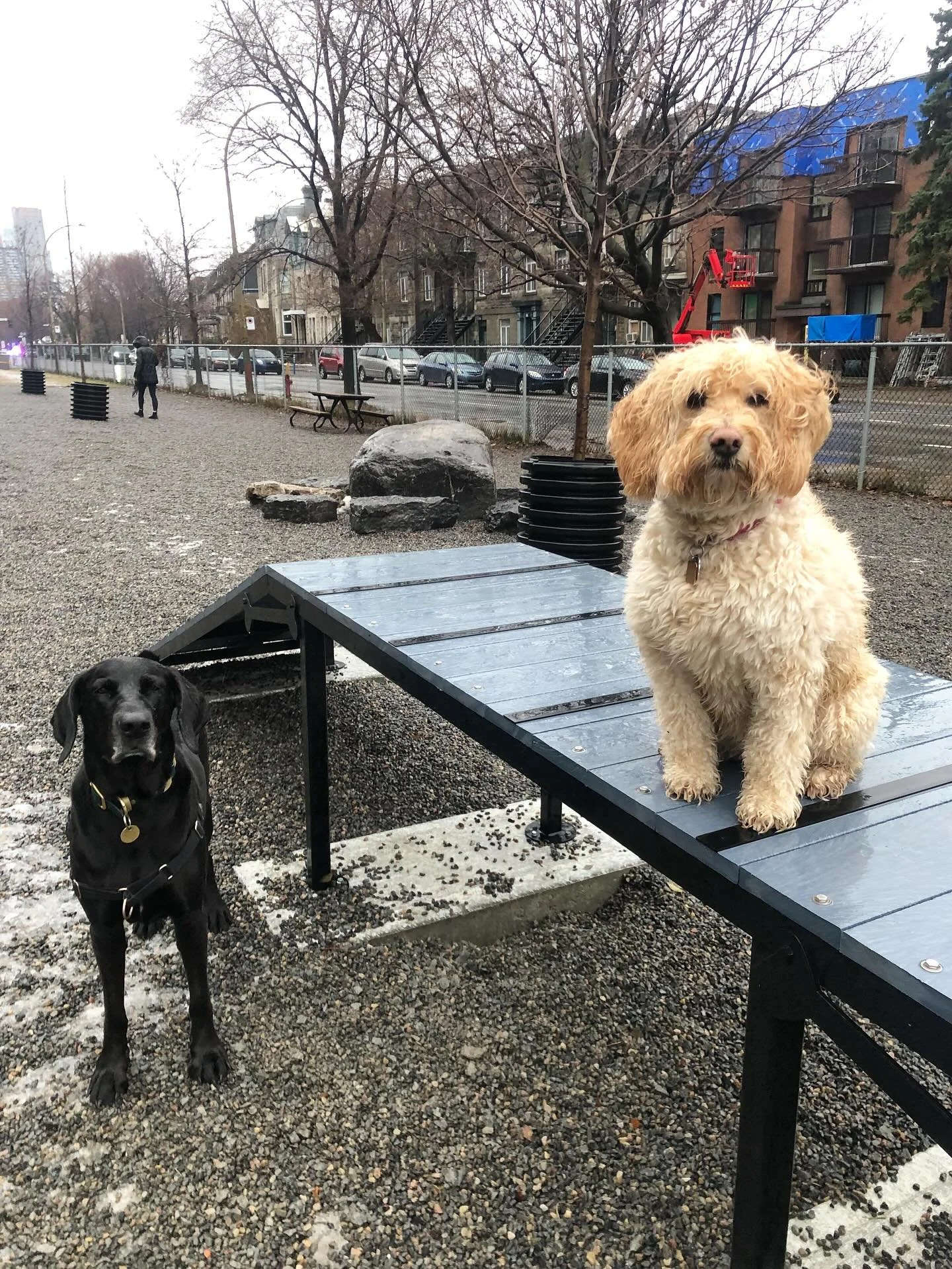 Rainy park date! #scottswalks