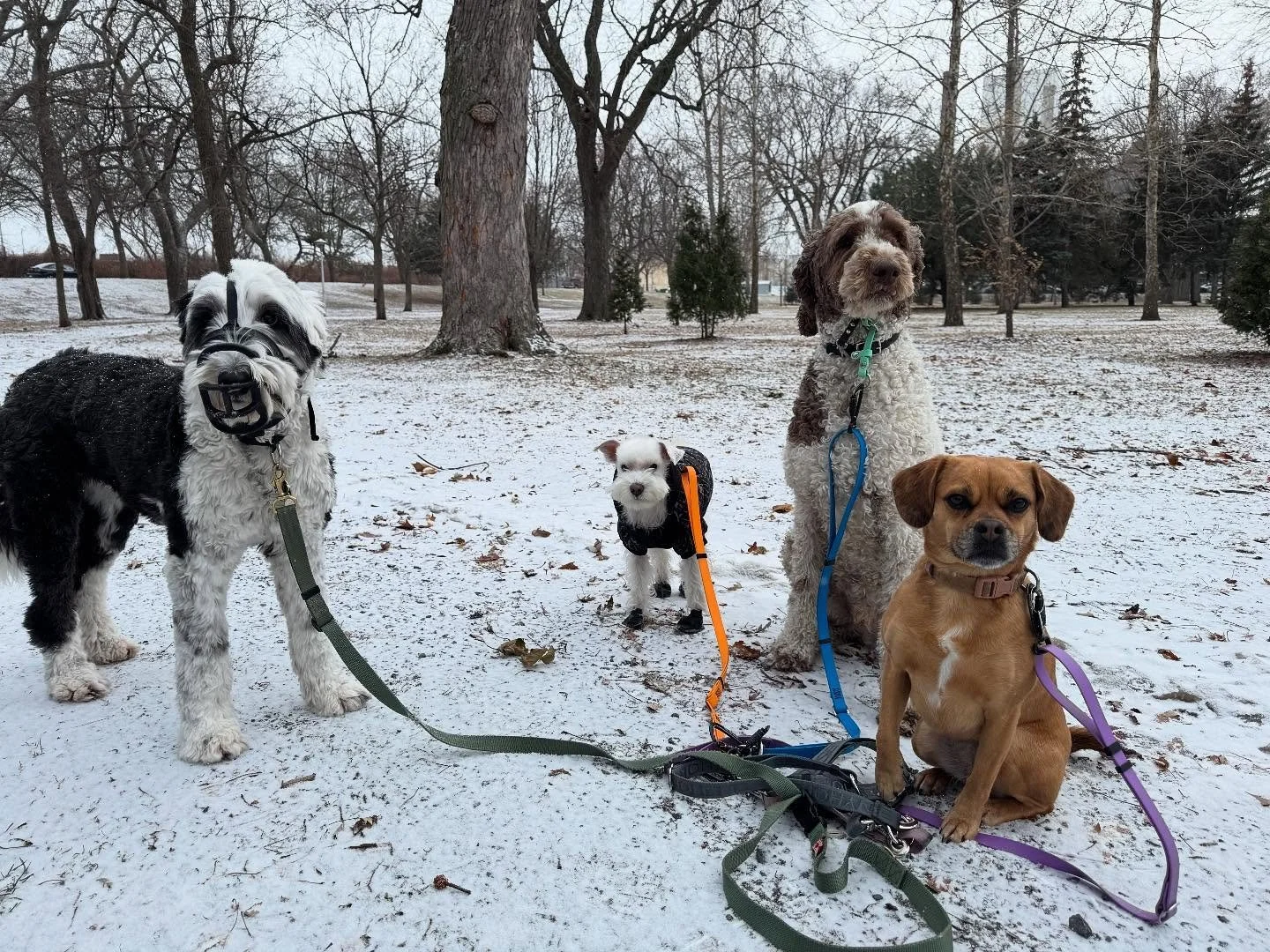 The snow is coming back just in time for the holidays! ☃️