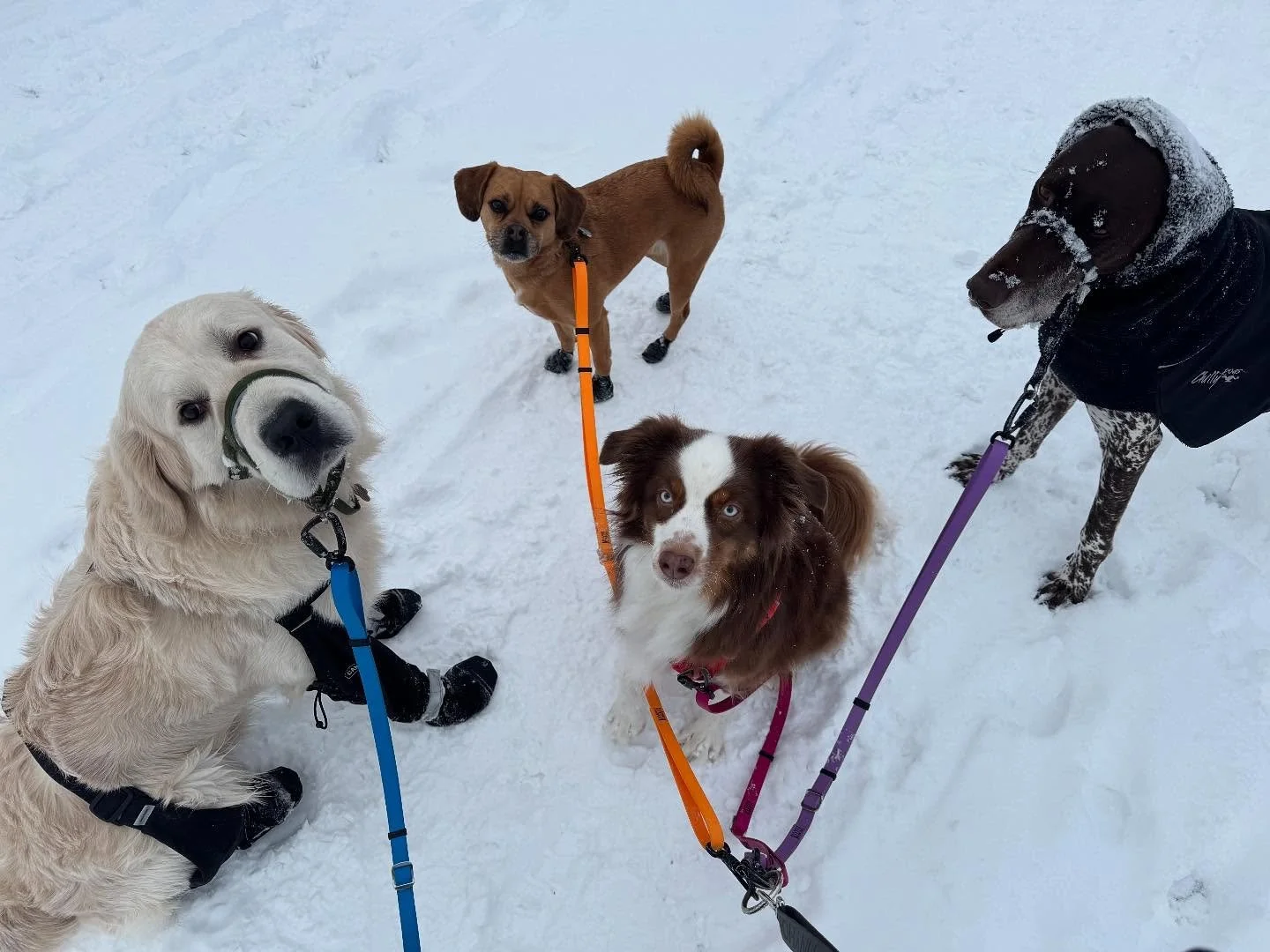 Ollie is back from holidays!! 😍