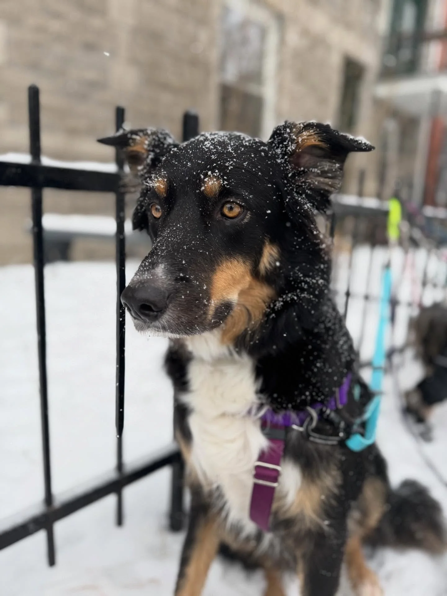 Snowy Monday Faces ❄️🥹