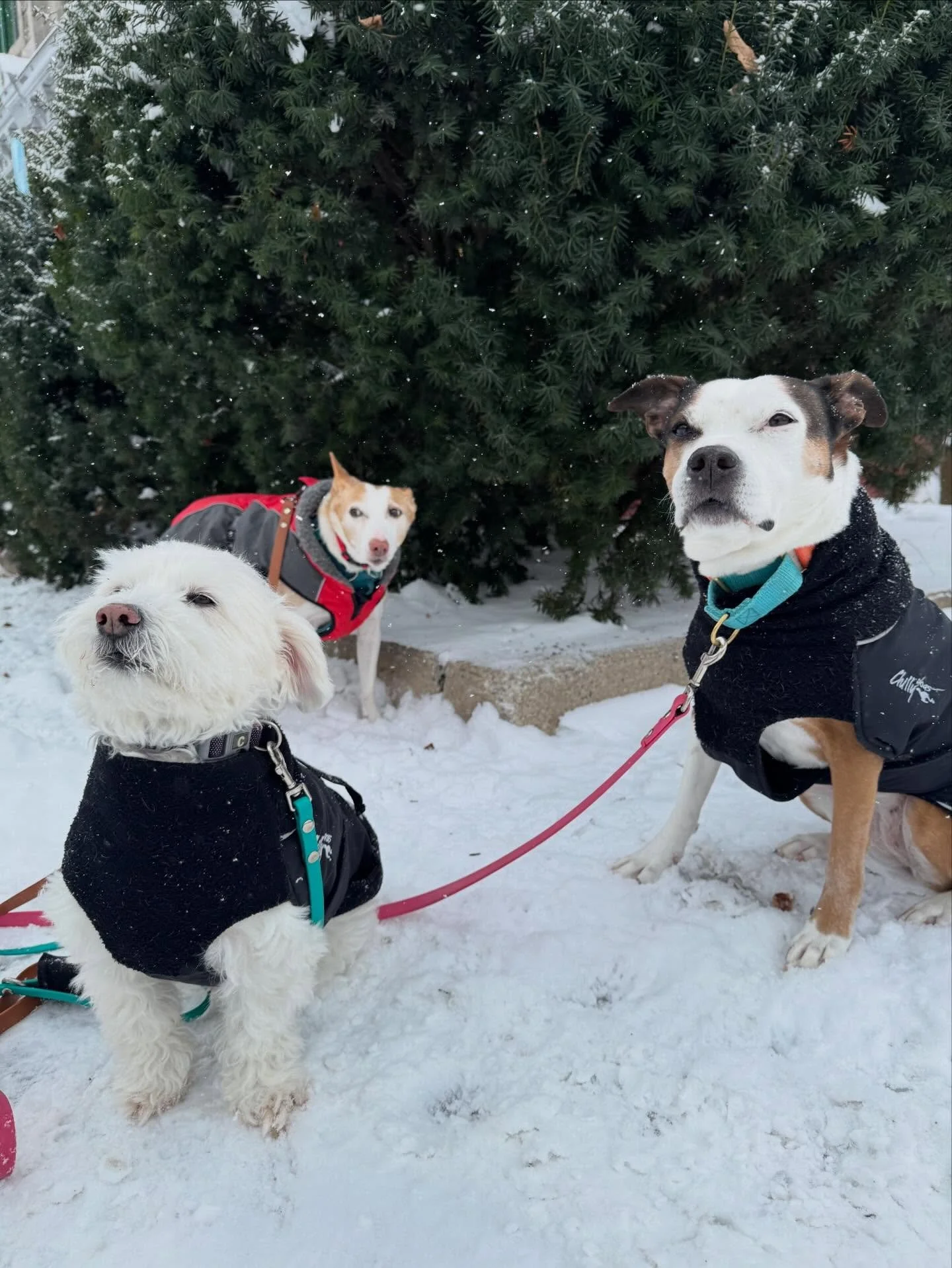 Happy Monday! ☺️