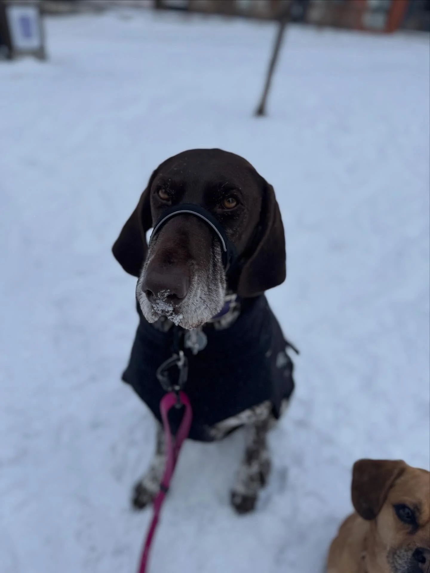 Centred 5 over the weekend!!! 🥳 Can&rsquo;t believe it!! Happy bday sweet crazy girl - we love you!! 😘