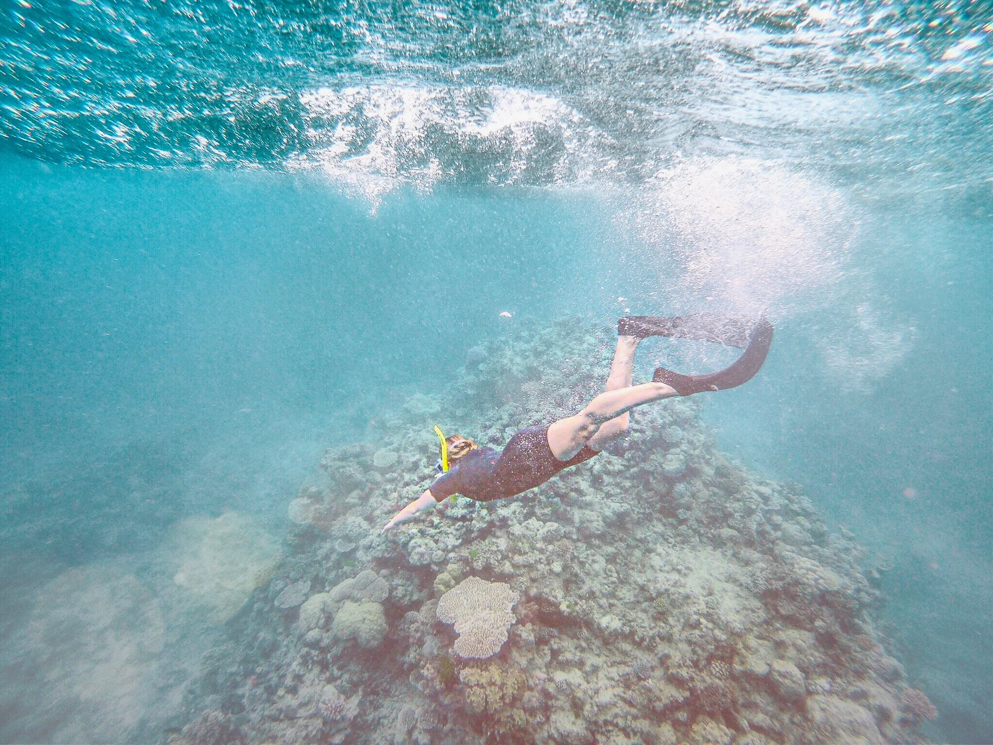 Taken with our GoPro while snorkeling and scuba diving the Great Barrier Reef in Australia!