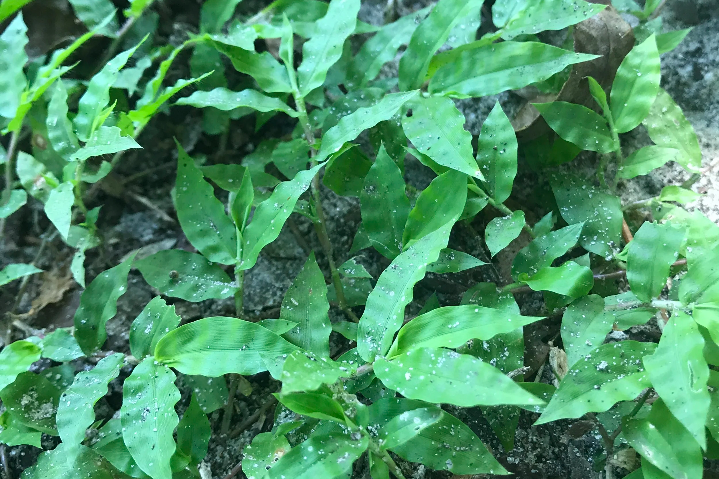 Beyond the Foundation