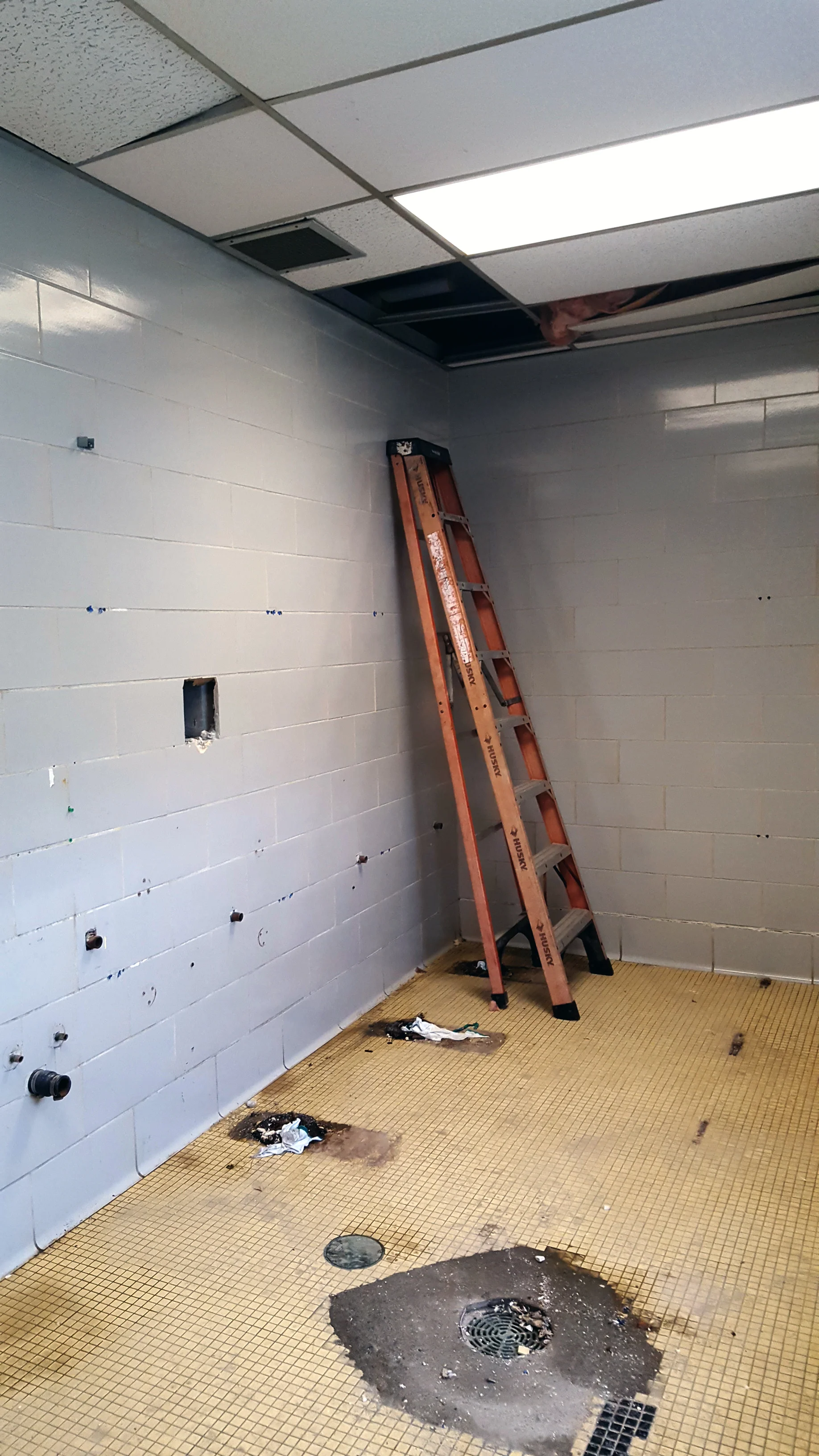 bathroom reno edit.jpg