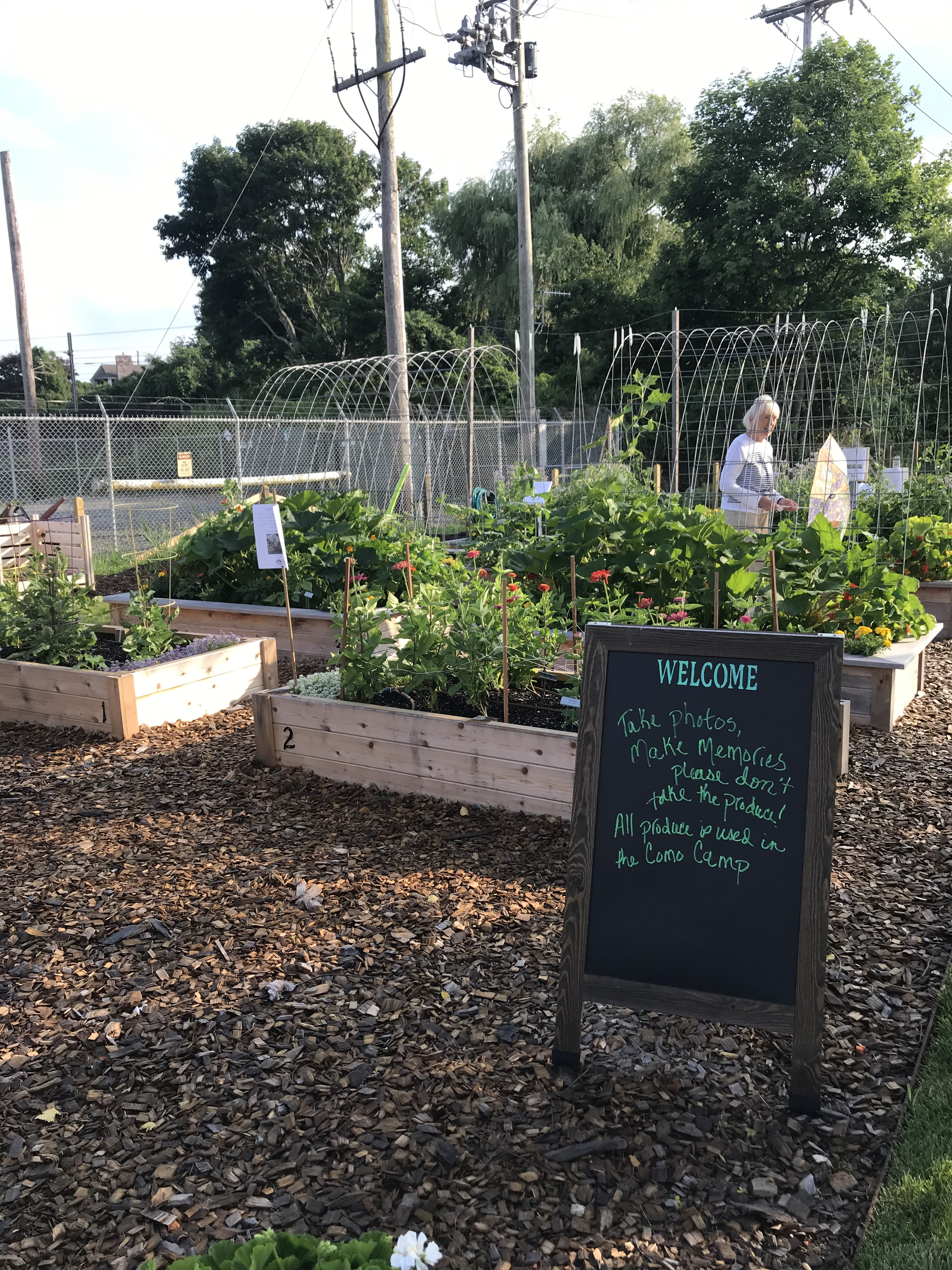 pasted image 0 (36).png