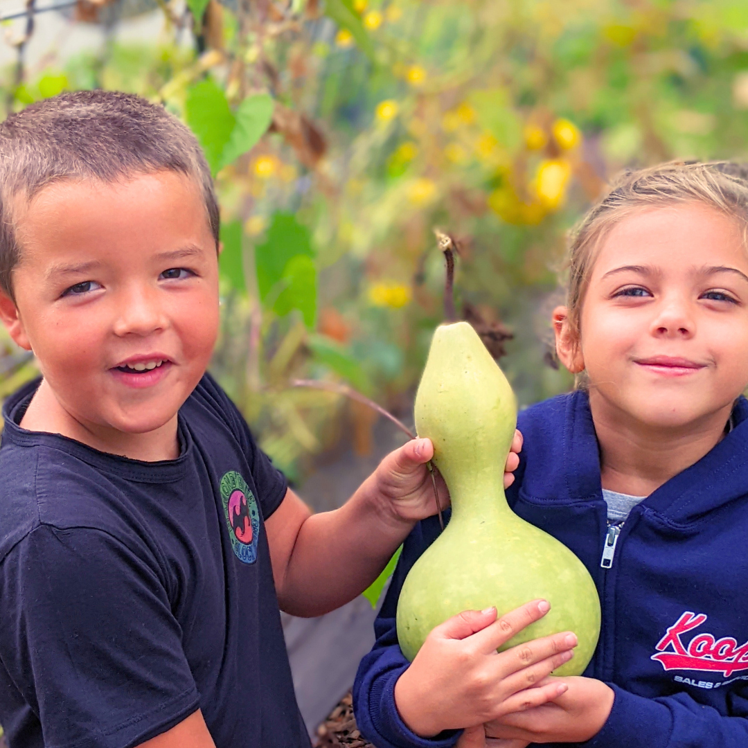 School's Out!: K-8 Vacation Care