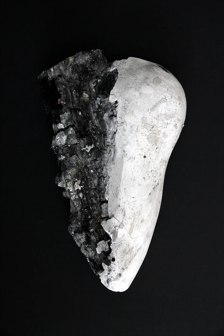 Enduring Love ( 2011 )