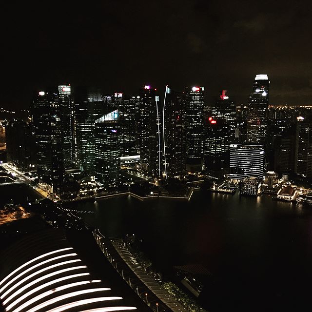 #singapore by night #raffles #makingmemories #celavisingapore #landscape #photography