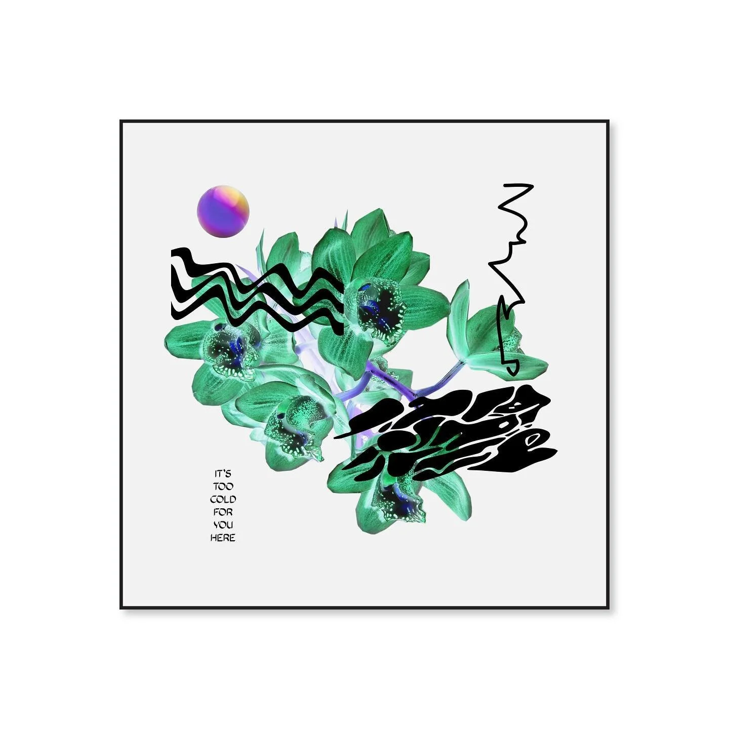 &lsquo;it&rsquo;s too cold for you here&rsquo;
-
kaleidoscope
maybe you&rsquo;re right
wdywfm
punk rock
exotic hideaways
big questions remain
flawless
-
#tropical #miami #typography #design&nbsp;#graphicdesign&nbsp;#graffuturism #postgraffiti&nbsp;#c