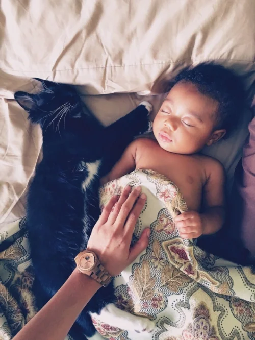 Developing A Beautiful Friendship - Kitty and Baby