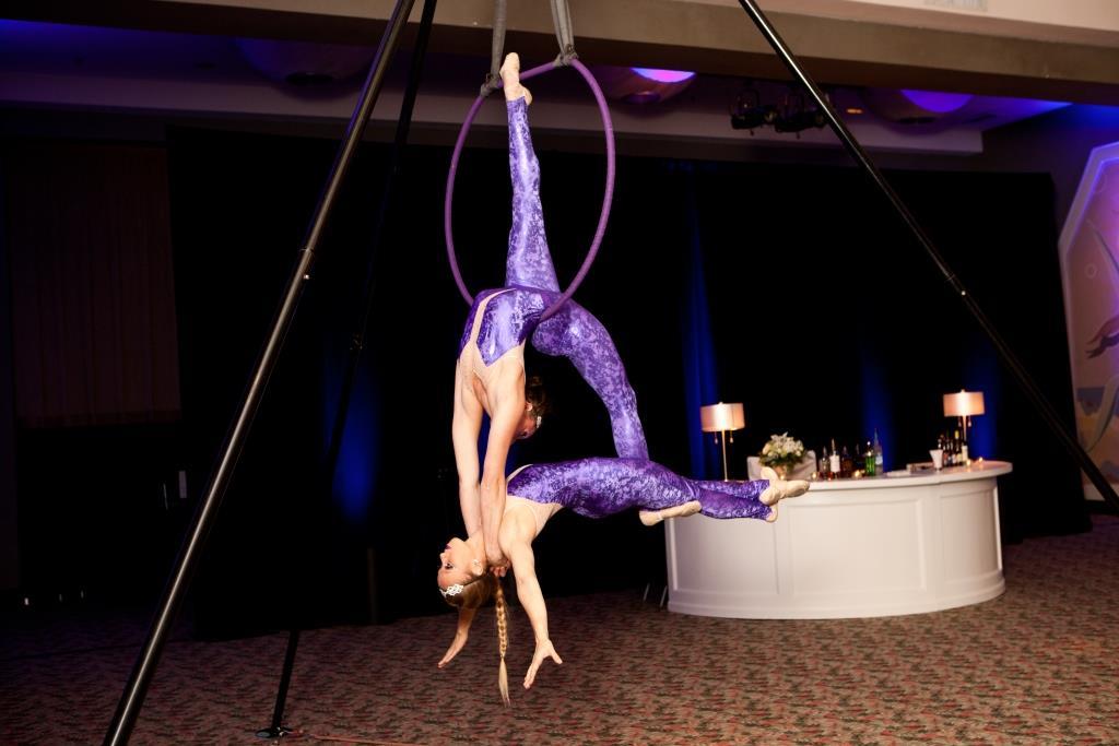Aerial duo performing on a Lyra/Aerial Hoop in purple costumes