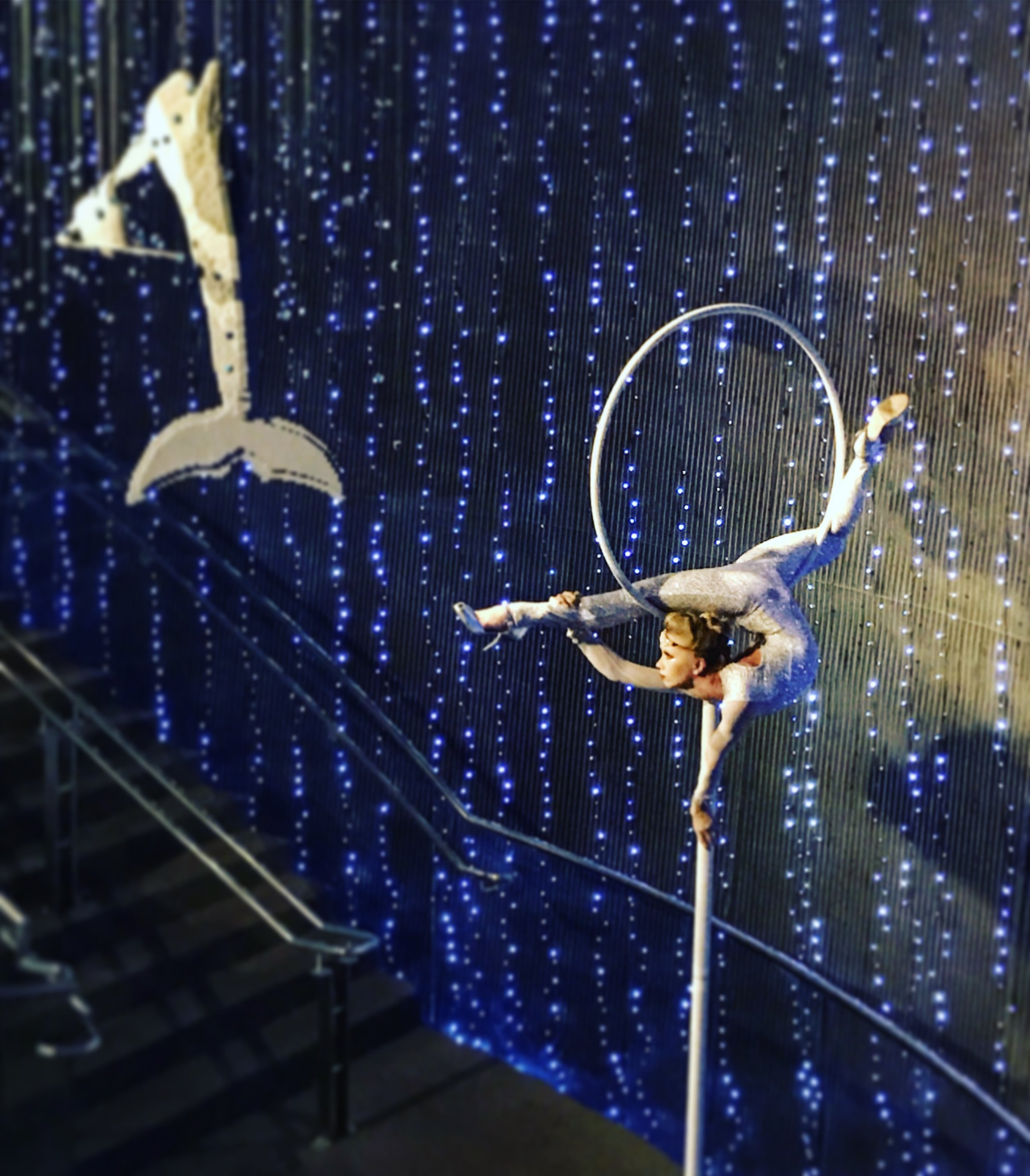 Aerialist in White Costume on Lollipop Lyra at South Carolina Aquarium