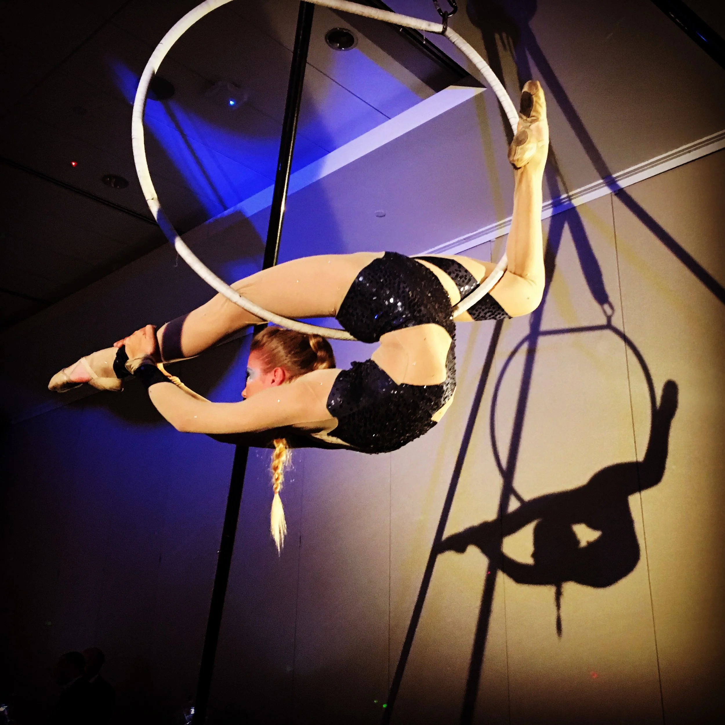 Lyra (Aerial Hoop) Act in Black and Tan Costume