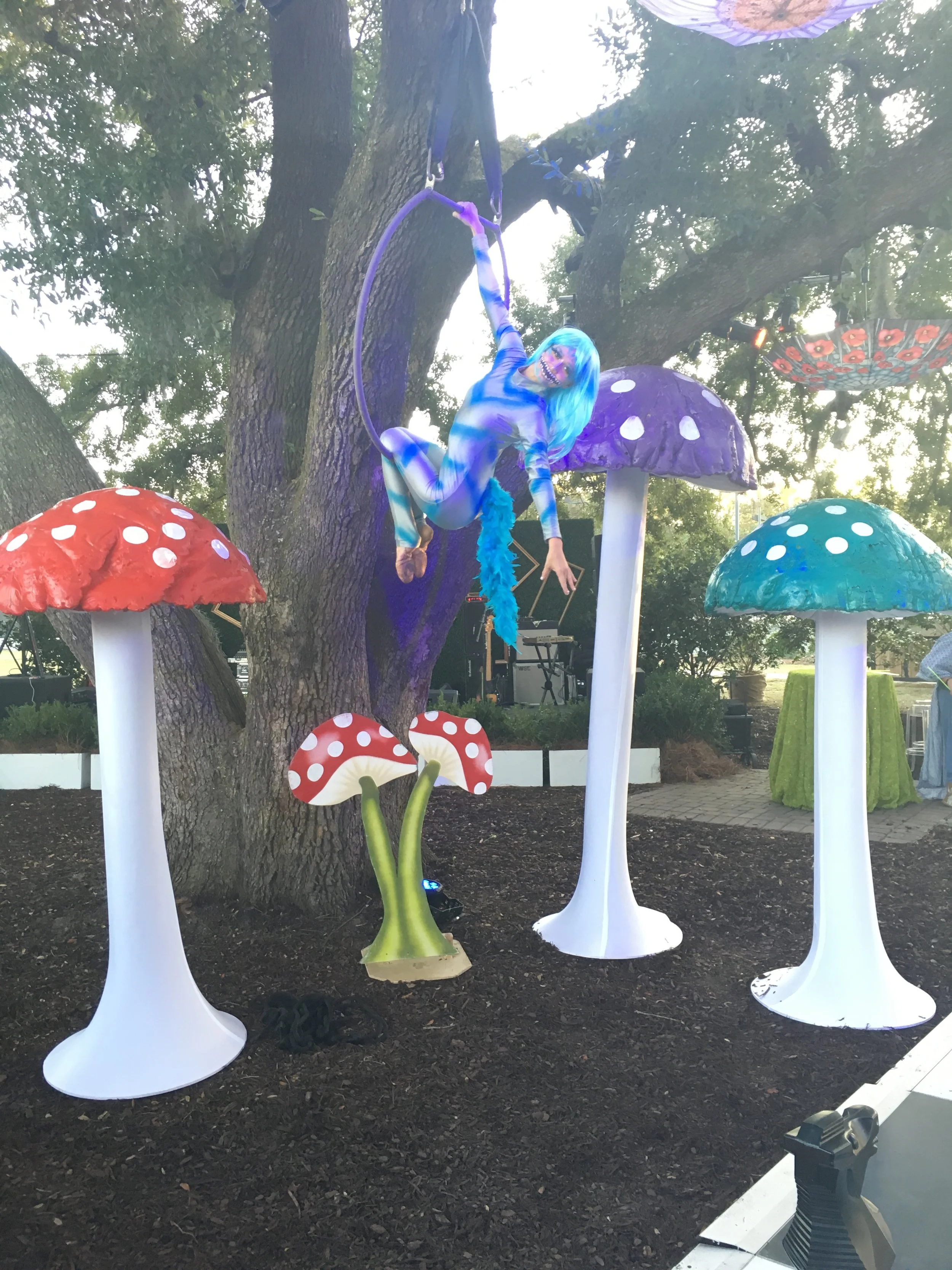 An aerialist on a lyra in a blue Cheshire Cat inspired costume hanging near a large tree in front of red, green, or purple mushrooms for an Alice in Wonderland themed party