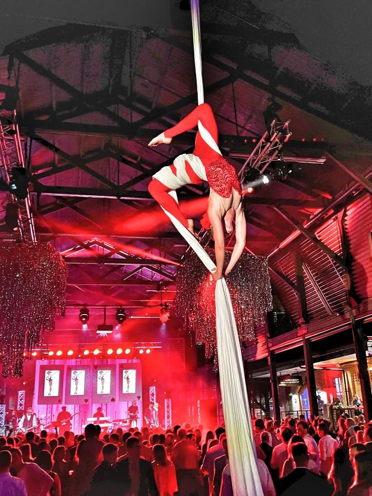 Aerialist in red costume performing on Aerial Silks at an event in Charleston, South Carolina