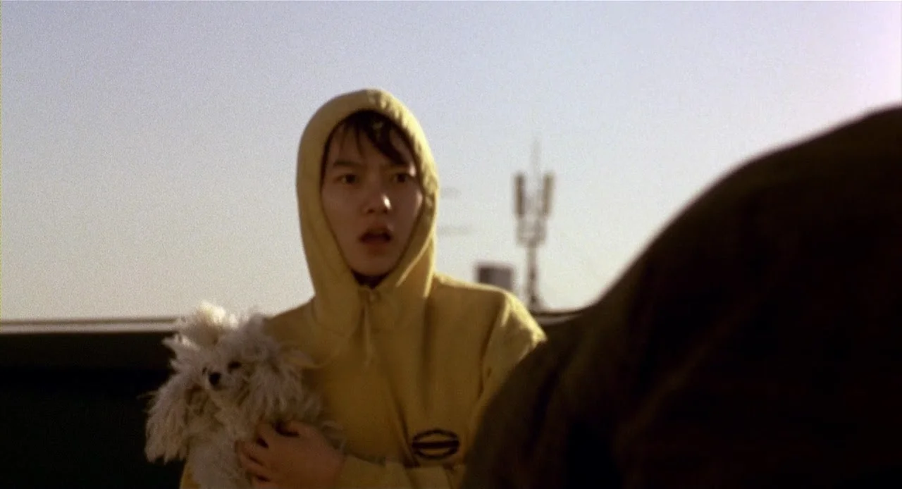 Barking.Dogs_.Never_.Bite_.2000.mkv_005342920.jpg