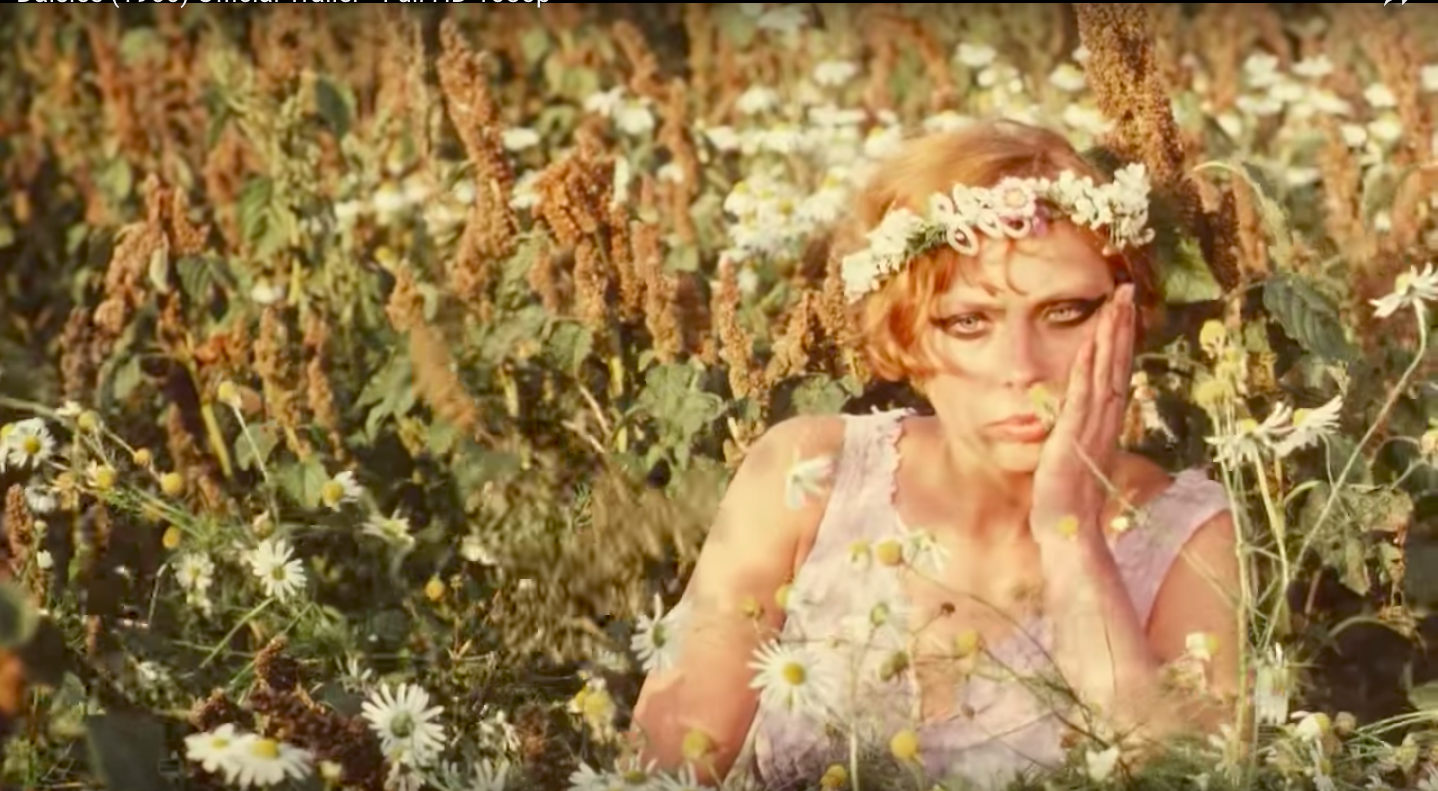 DAISIES Opening Statement