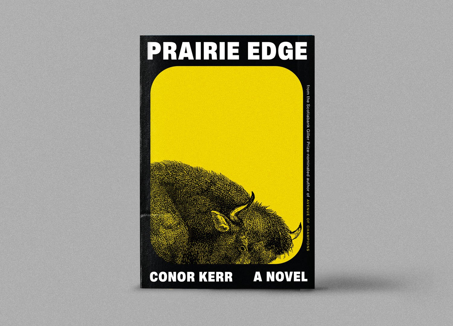 prairie cover.jpg