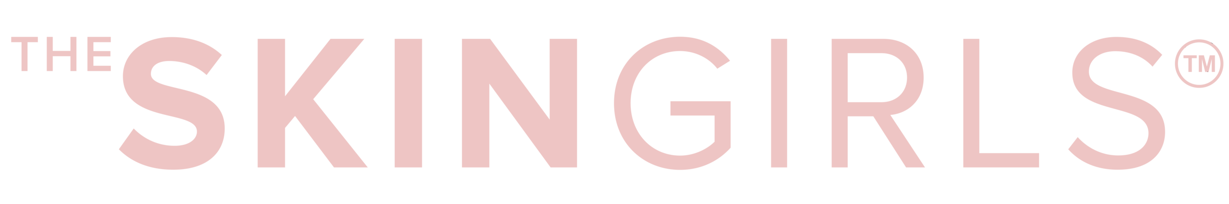 Vector Logo.png