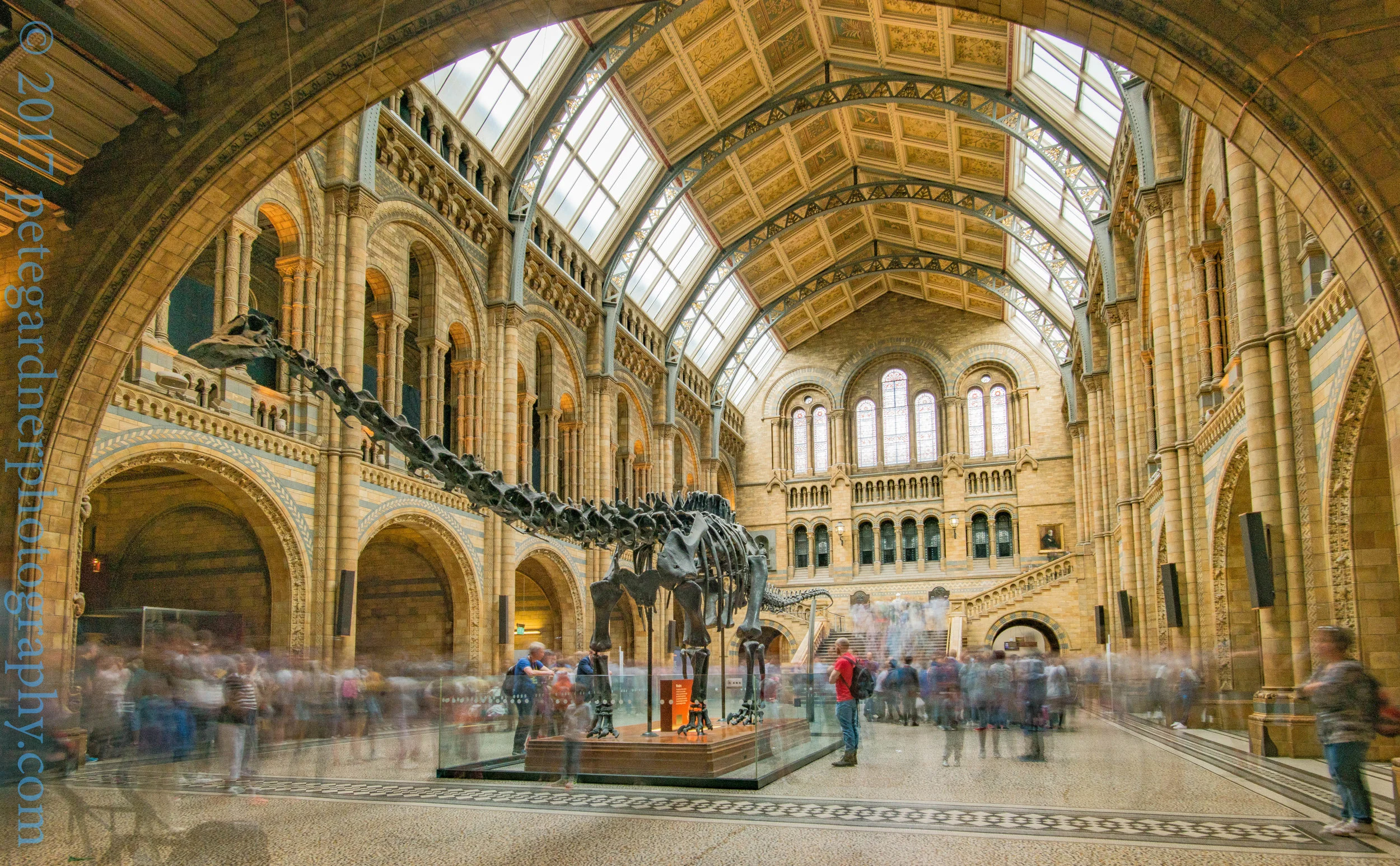 NHM-1662.jpg