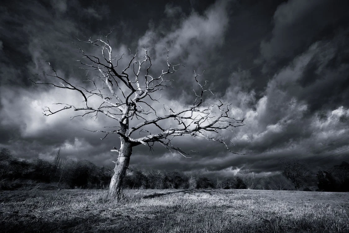 Hertfordshire, England