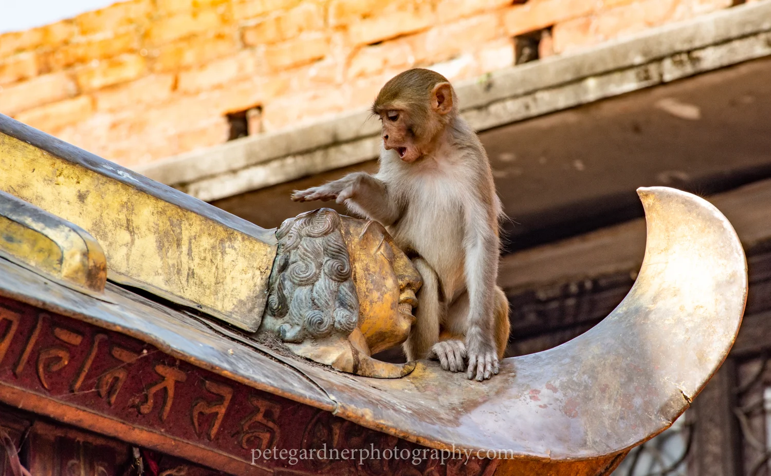 KathmanduTour-19.jpg