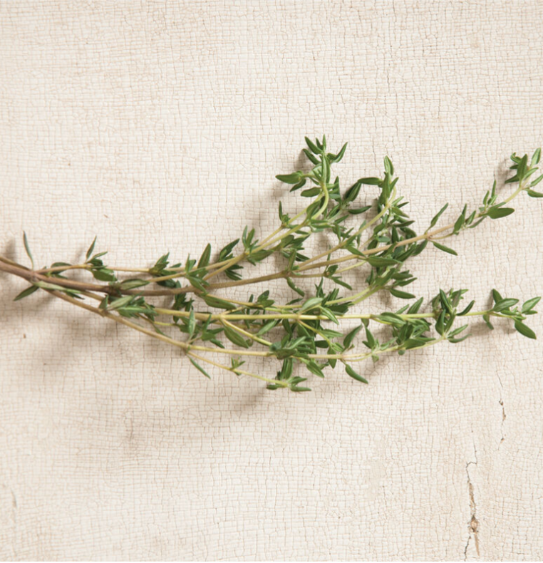 Summer Thyme.png