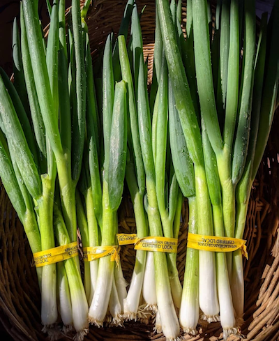 Green Onion