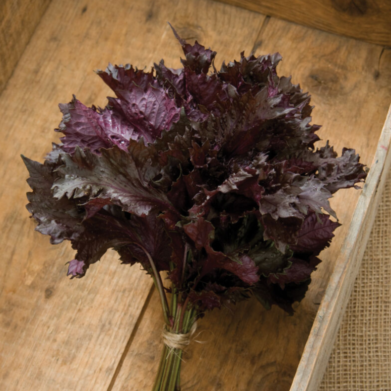 Shiso.png