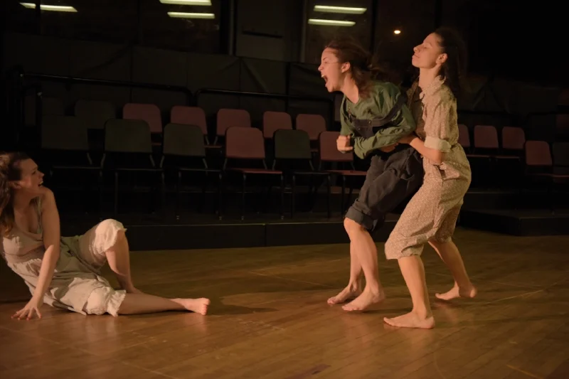 The Tall Girls, Boston University