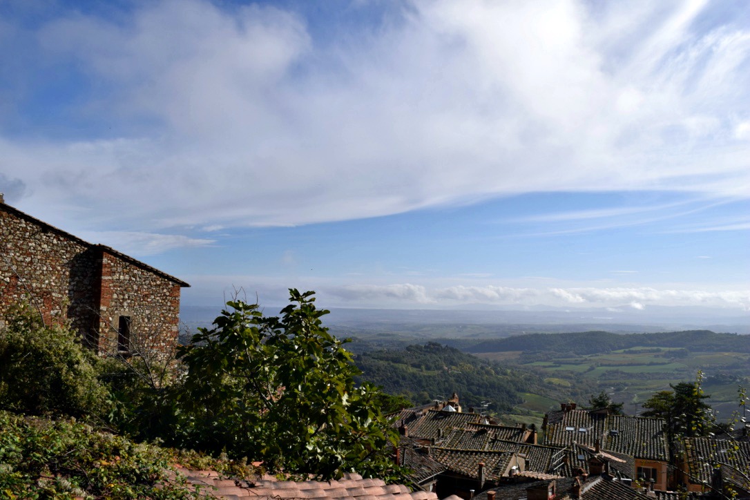 A shot along the road of the sprawling vineyards