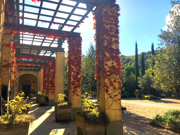 The fall foliage at Castiglion del Bosco