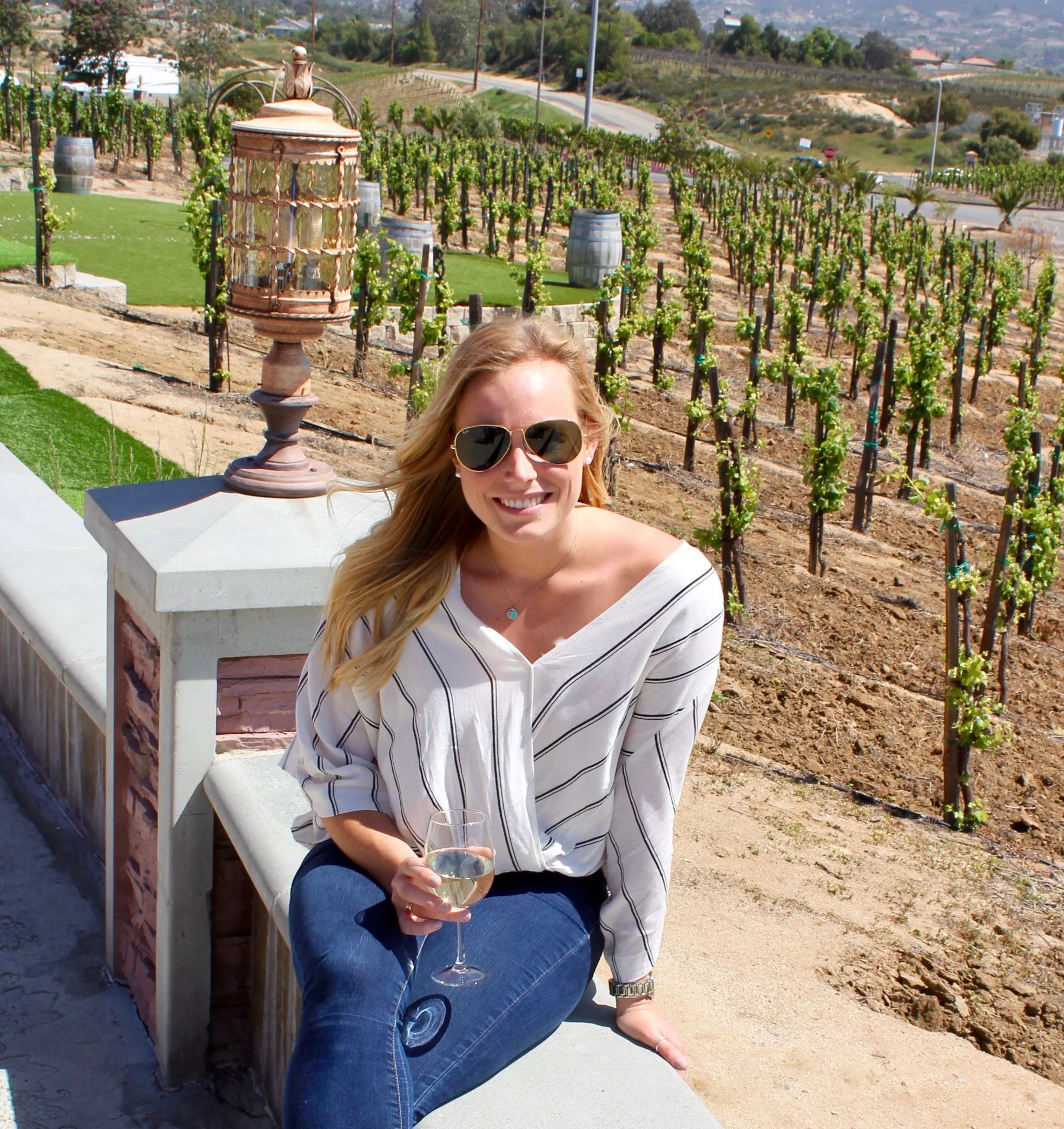 ROBin brown , travel designer
