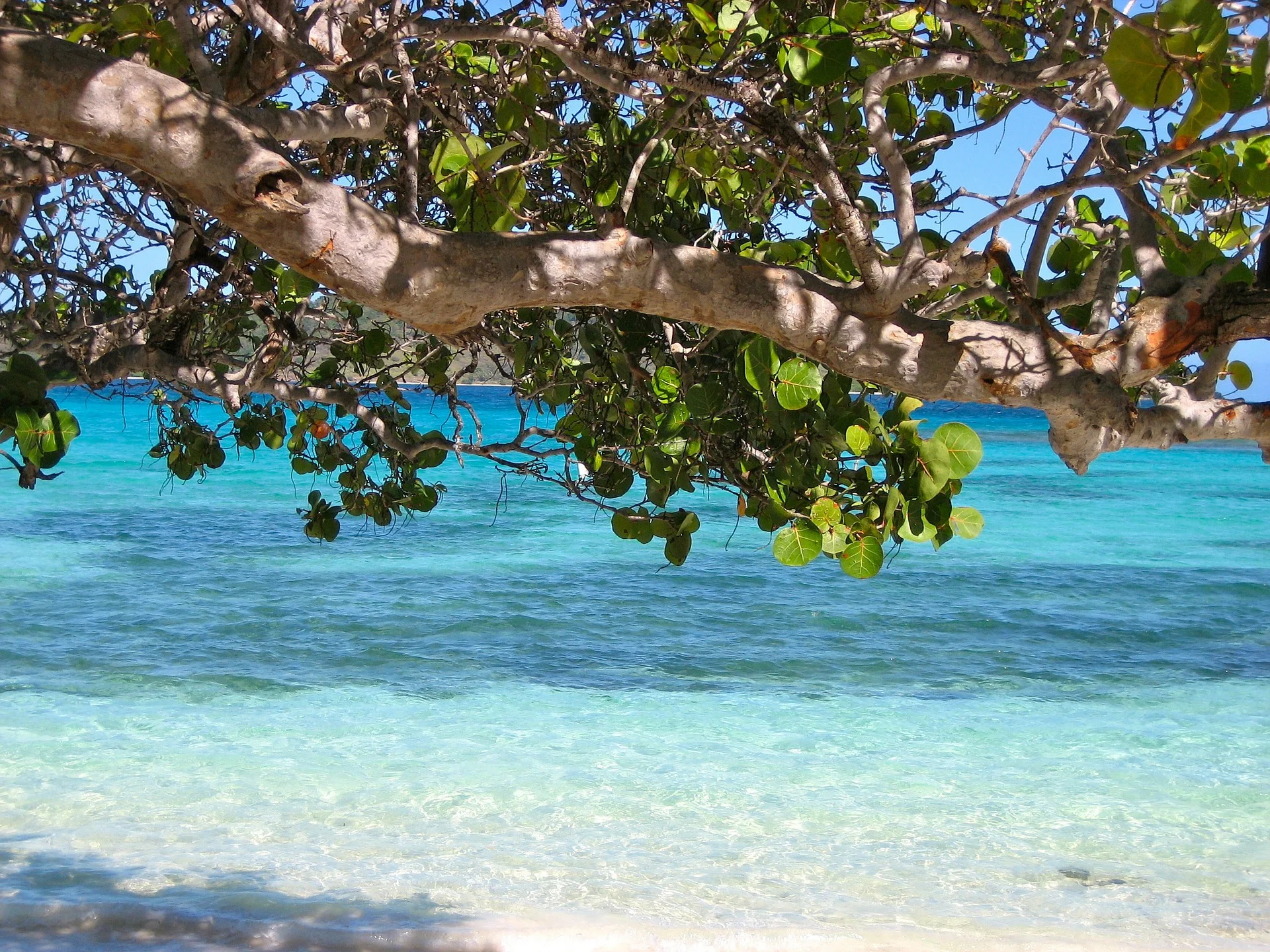 barbados-92162_1920.jpg