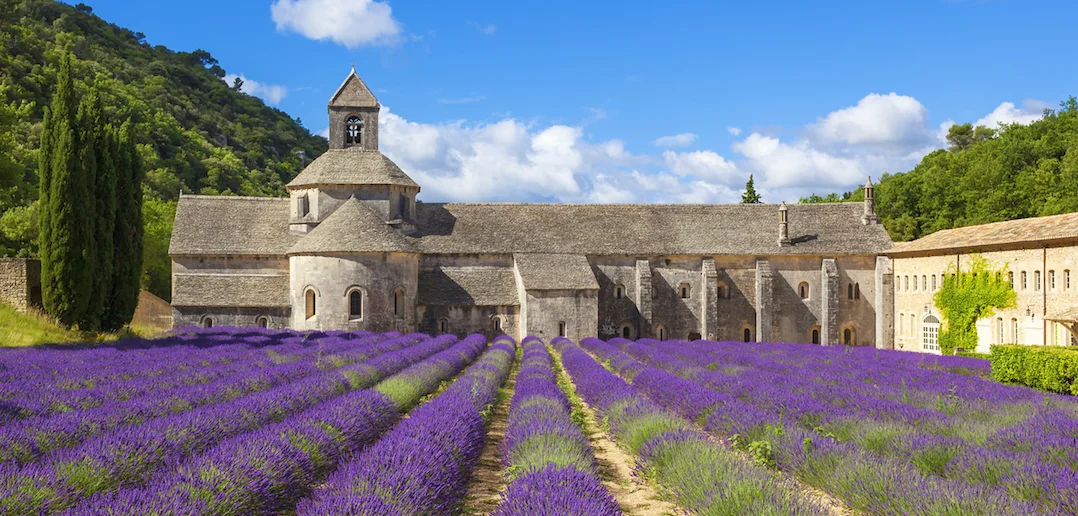 labbaye-de-senanque-une-etape-du-tourisme-en-provence-a-ne-pas-manquer.jpg