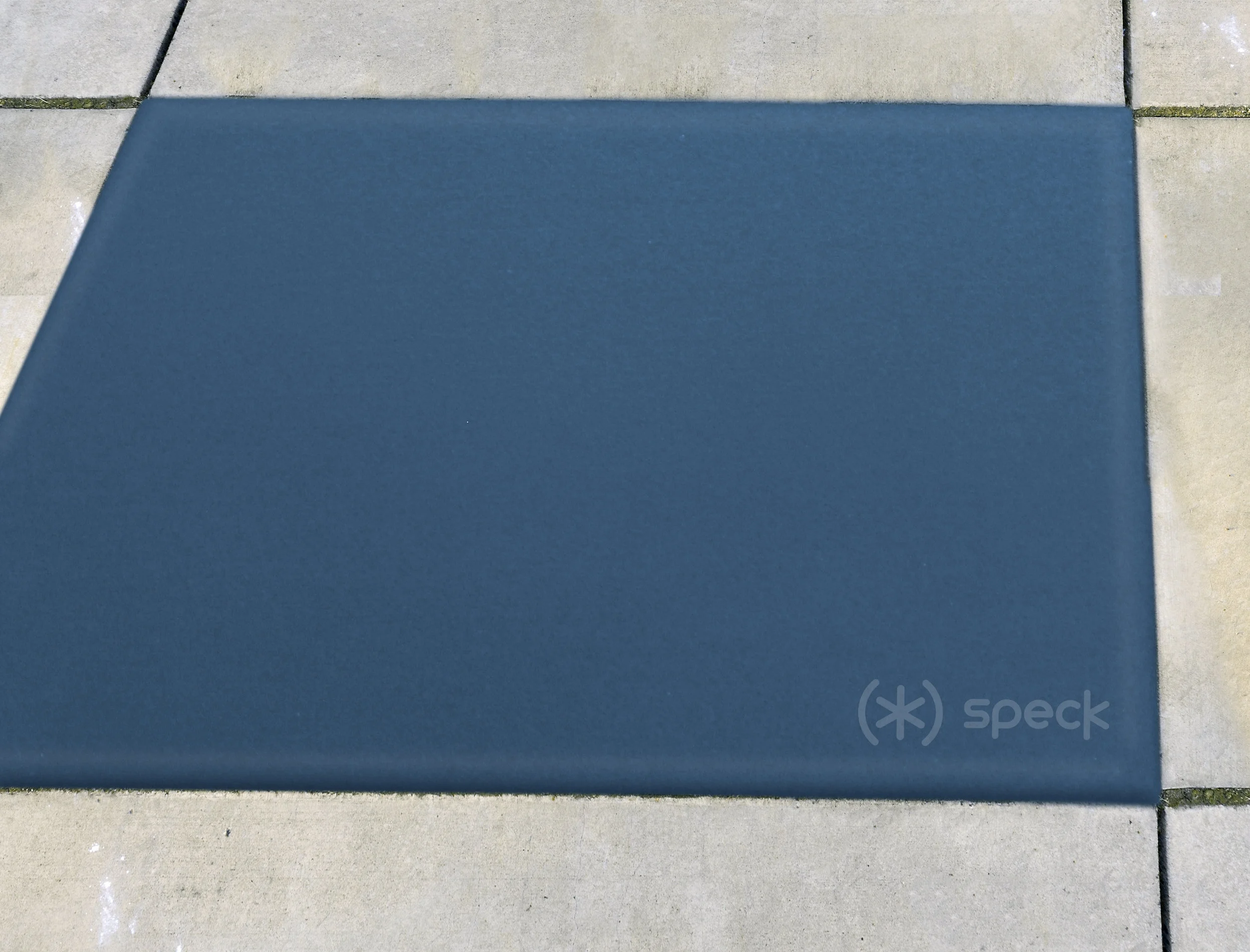 Speck_Cushion_CloseUP.jpg