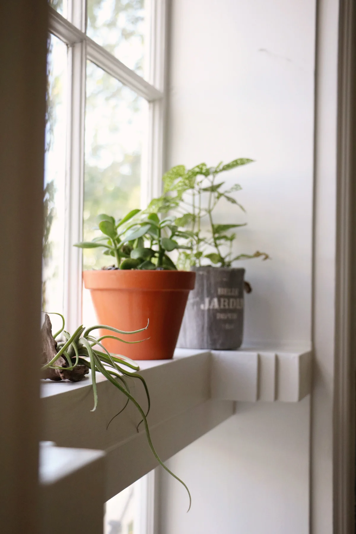 rented_home2.jpg