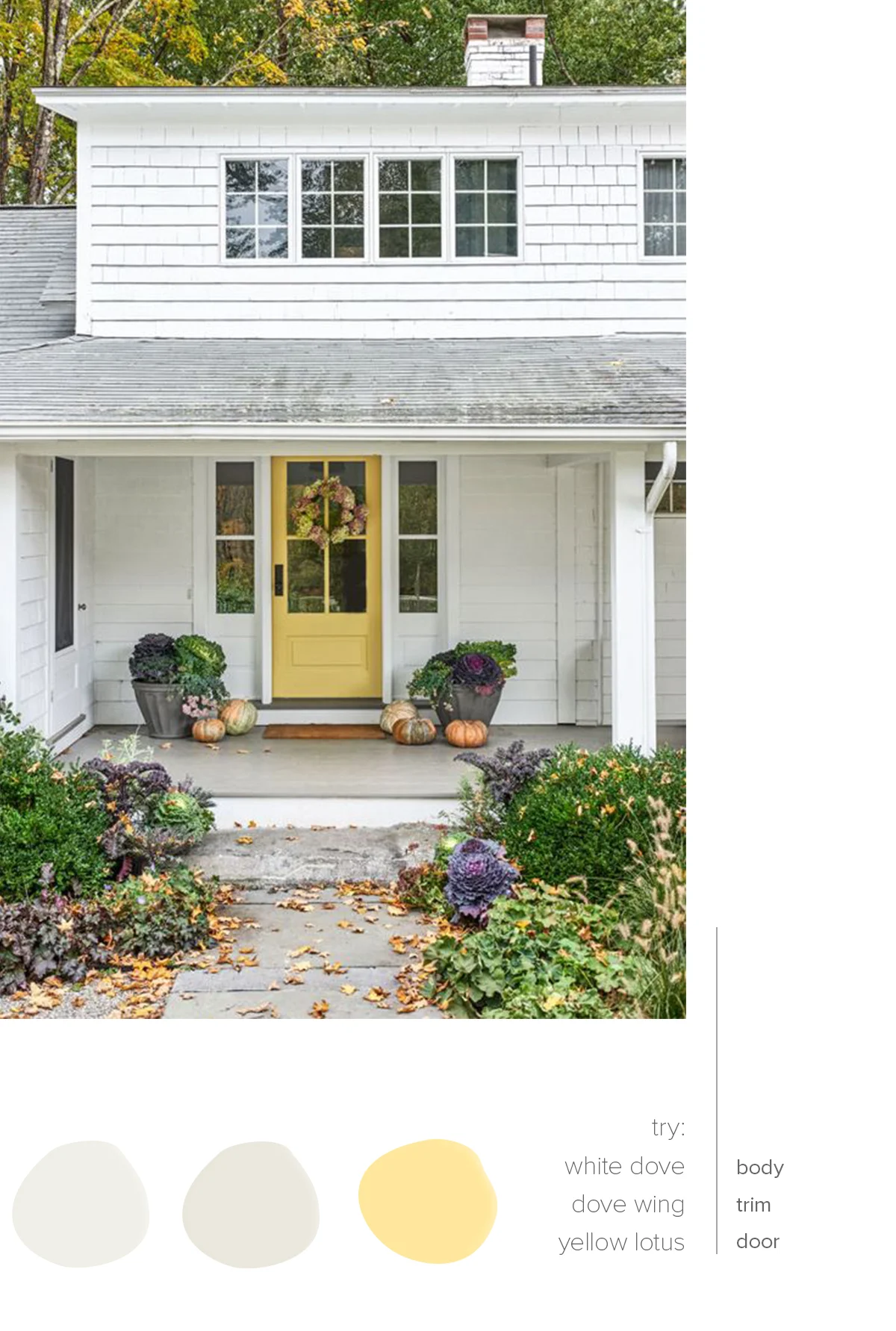 House Exterior Color Combo Ideas Root Dwell