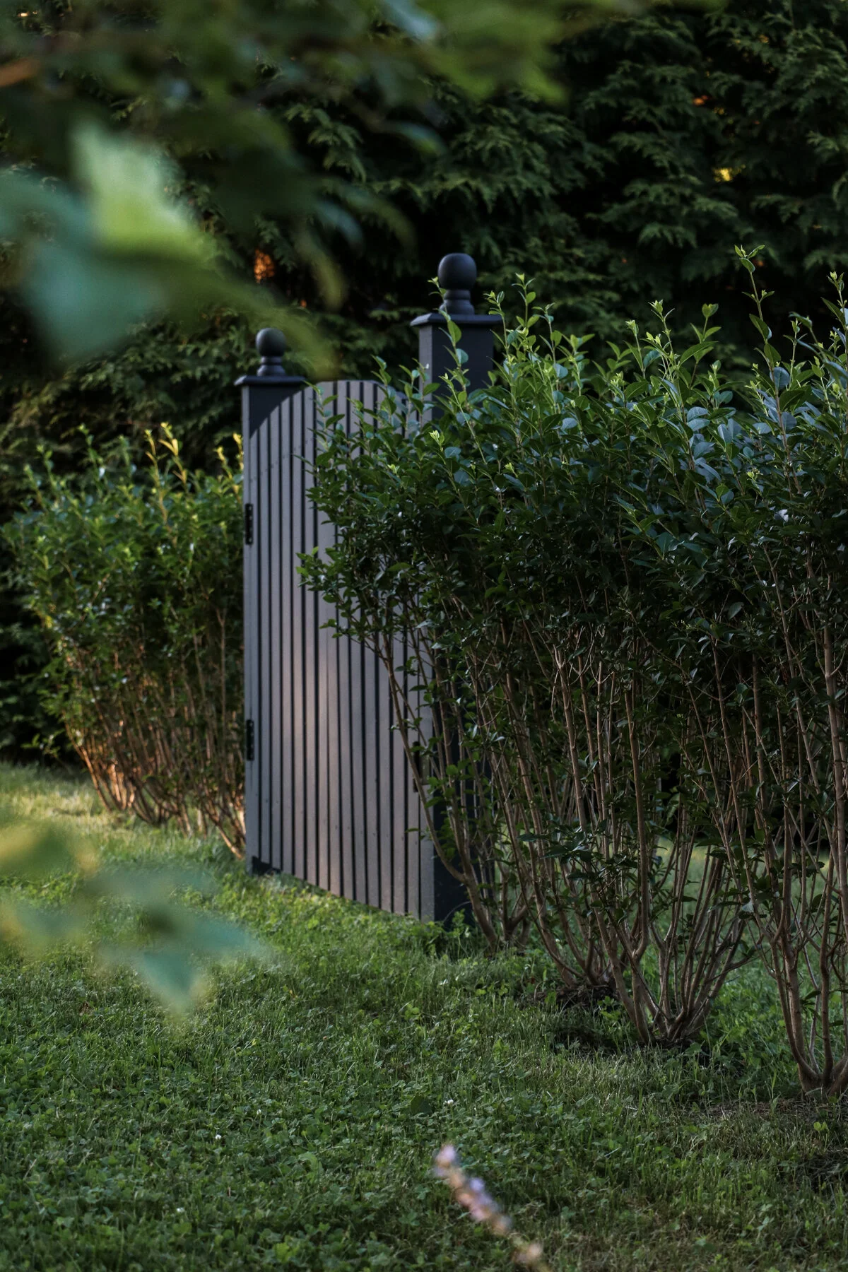 Our Privacy Hedge Reveal