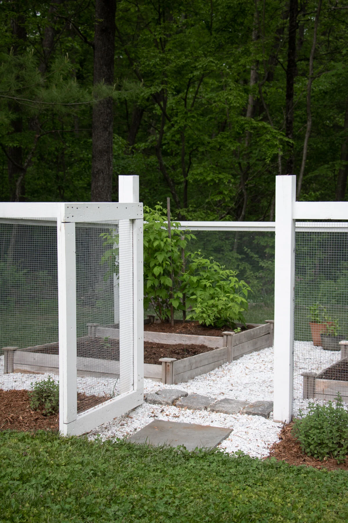 Spring 2021 Veggie Garden