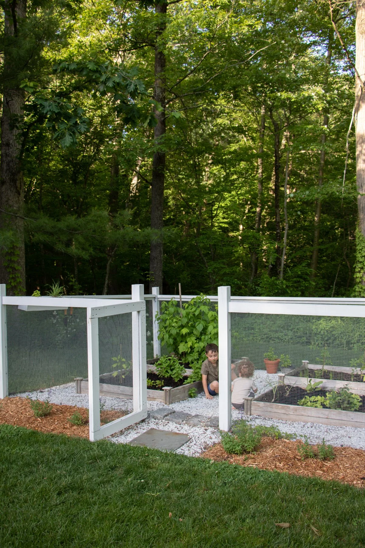 Our Veggie Garden 2022 and Root and Dwell June Challenge