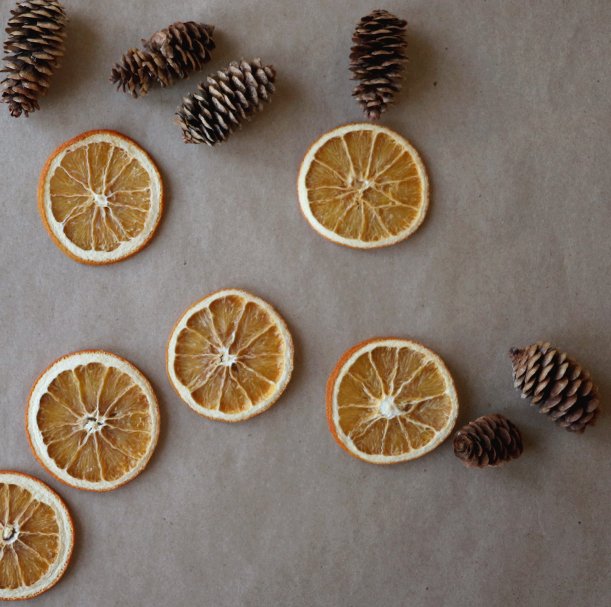 how+to+dehydrate+oranges+and+style+them+for+the+holidays+_+root+++dwell.jpg