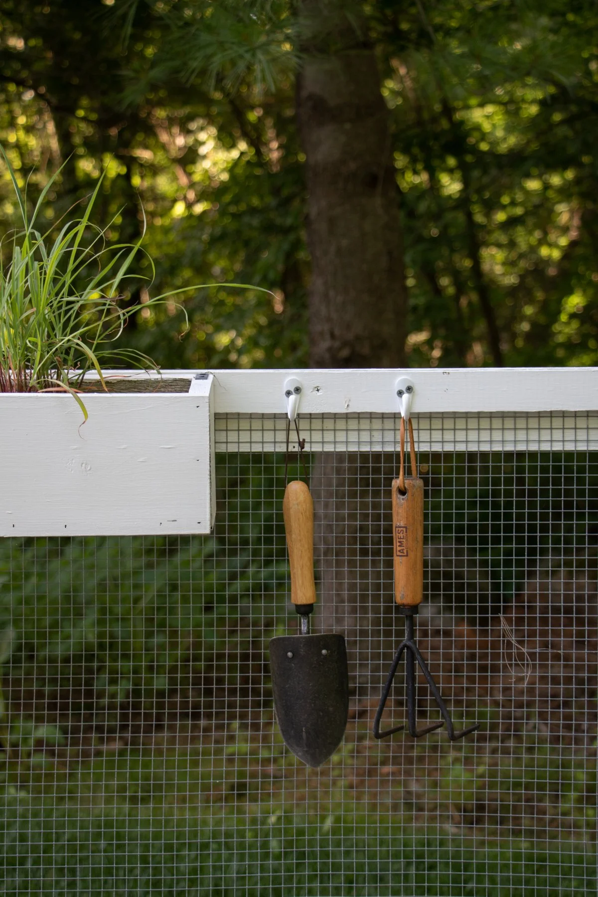 garden_18.jpg