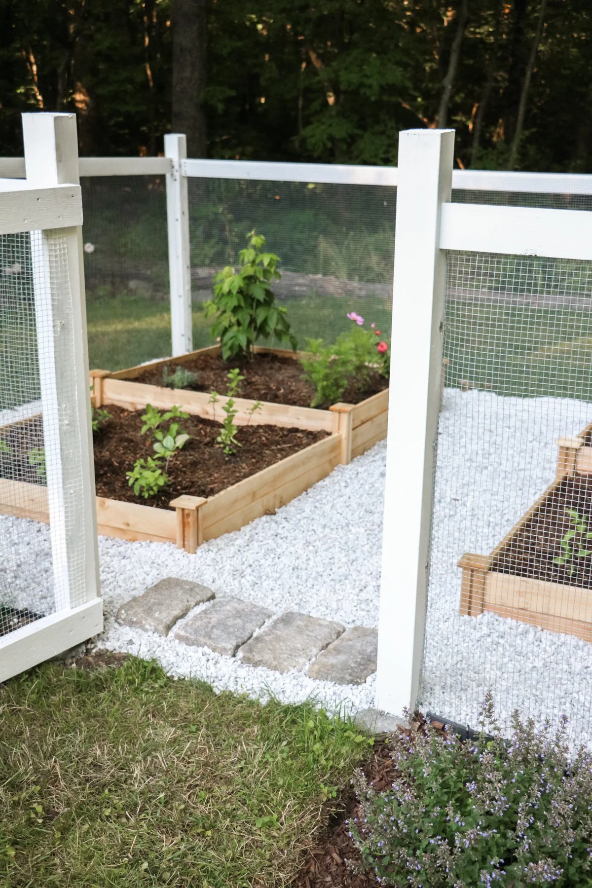 garden_9.jpg