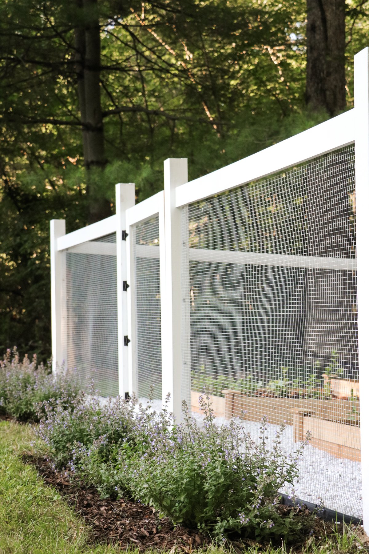 garden_10.jpg