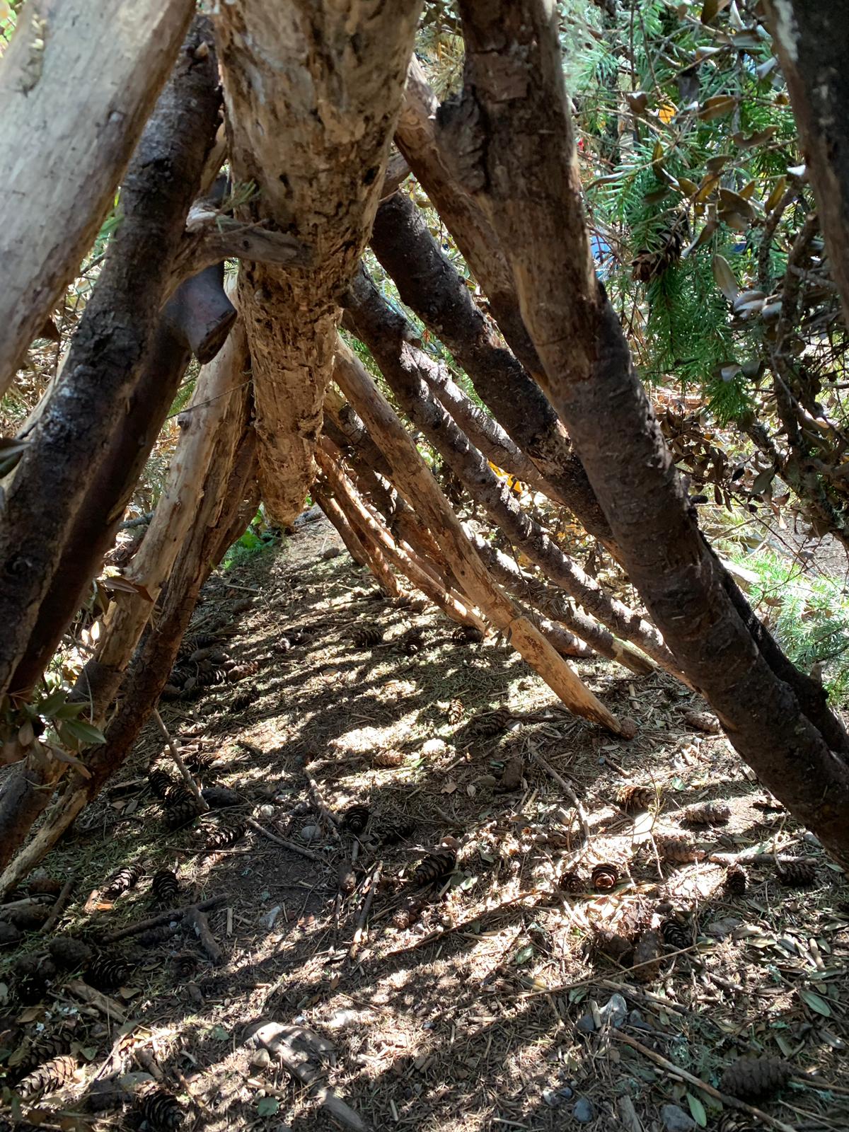1610e2ae-b629-47e1-ab62-1ec4a4c78a6f.jpg