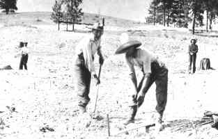  Planting the First Fruit Tree 